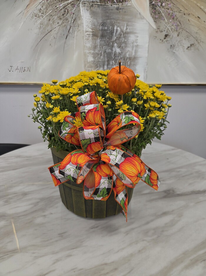 Fall Mum