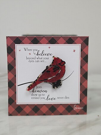 Sympathy Cardinal Pin